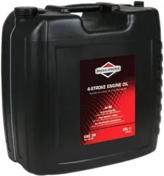 Briggs&Stratton 100046E SAE-30 25л