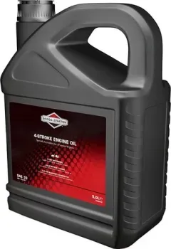 Briggs&Stratton 100009E SAE-30 5л