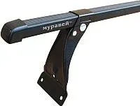 Муравей 691288