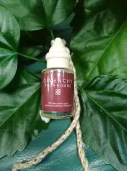 <?= Zolstar Givenchy Pour Homme ?>