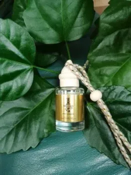 <?= Zolstar Paco Rabanne 1 Million ?>