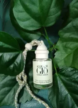 Zolstar Giorgio Armani Acqua Di Gio (m)
