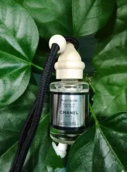 Zolstar Chanel platinum Egoiste
