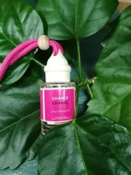 <?= Zolstar Chanel Chance eau Fraiche ?>