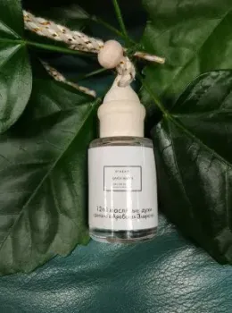 Zolstar Byredo Gypsy Water