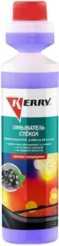 <?= Kerry Суперконцентрат KR-334 (270 мл, смородина) ?>