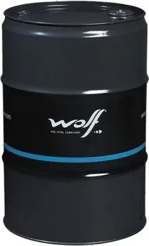 <?= Wolf EcoTech DSG Fluid 5080/60 60 л ?>