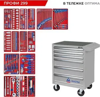 <?= Мастак 52-06299G (299 предметов) ?>