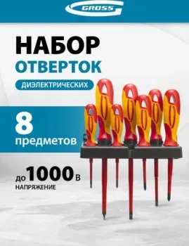 <?= GROSS 12950 (8 предметов) ?>