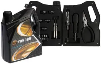 <?= Tundra 7379045 (21 предмет) ?>