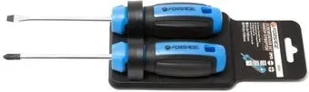 <?= FORSAGE F-2024 (2 предмета) ?>