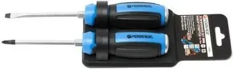 <?= FORSAGE F-2026 (2 предмета) ?>