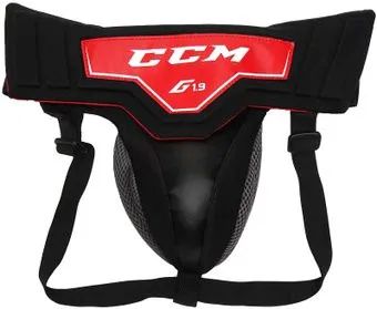 <?= CCM GJ 1.9 Sr ?>