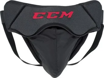 <?= CCM GJ 500 Sr ?>