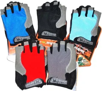 <?= Zez D205 (XL, в ассортименте) ?>