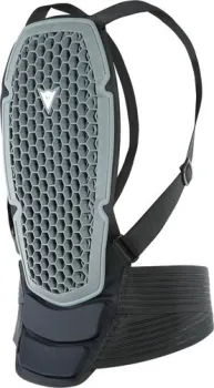 Dainese Pro Armor Back Protector G1 4876000 (M, черный)
