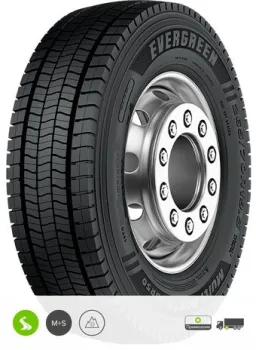 <?= Evergreen EDR50 205/75R17.5 124/122L TL ?>