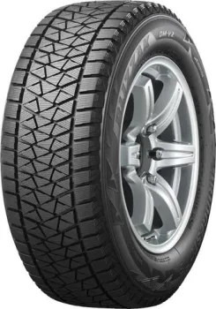 <?= Bridgestone Blizzak DM-V2 255/55R20 110T ?>