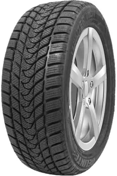<?= Delinte Winter WD1 225/55R17 97T ?>