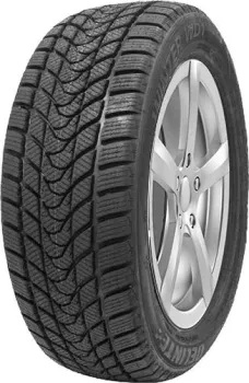 <?= Delinte Winter WD1 165/70R14 81T ?>