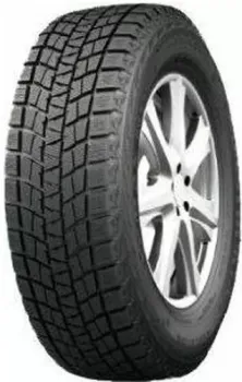 <?= Kapsen RW501 225/50R17 98H XL ?>