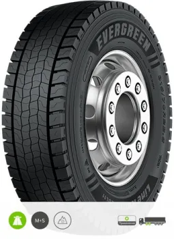 <?= Evergreen EDL11 295/80R22.5 154/149L TL ?>