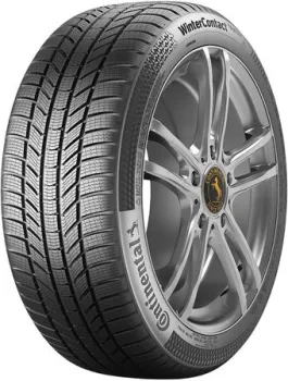 <?= Continental WinterContact TS 870 P 255/40R21 102T ContiSeal ?>