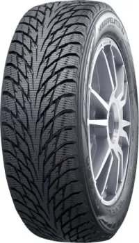 <?= Ikon Hakkapeliitta R2 225/45R18 95R (run-flat) ?>