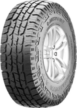 <?= Austone SP-308 265/65R18 114T ?>