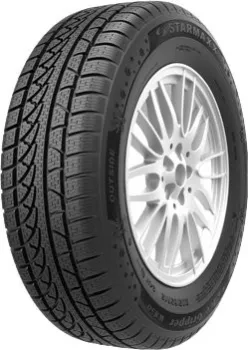 <?= Starmaxx Ice Gripper W850 205/55R16 91H ?>