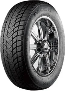 <?= Pace Antarctica 5 195/65R15 91H ?>