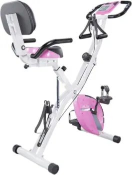 <?= DFC X-Bike Pleny CF-917FM-2 ?>