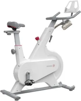 <?= DFC Yesoul Smart M1 (белый) ?>
