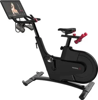 <?= Yesoul BV1-B Plus BV1-B-21.5 ?>