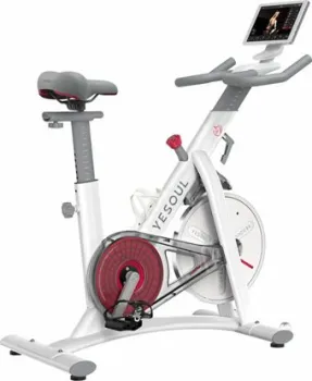 <?= Yesoul BS3-B Pro BS3-W-10.1 ?>