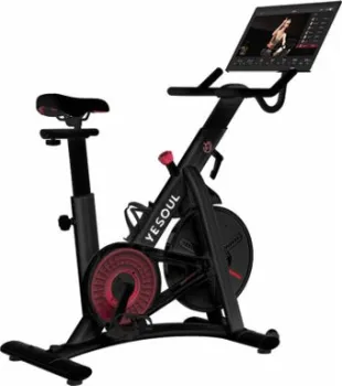 <?= Yesoul BS3-B Pro Plus BS3-B-21.5 ?>
