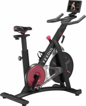 Yesoul BS3-B Pro BS3-B-10.1