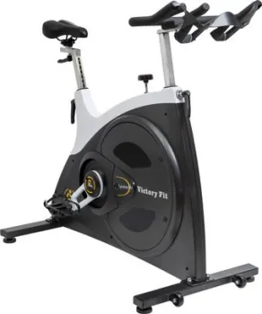 <?= VictoryFit VF-GymRider 230 ?>