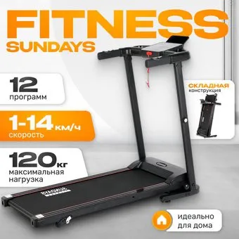 <?= Sundays Fitness Simple Line ES-T4004 ?>