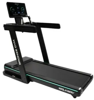 <?= Bronze Gym WalkWay ?>