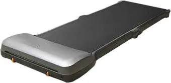 <?= KingSmith WalkingPad С1 (европейская версия) ?>