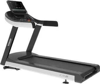 <?= Sundays Fitness T-756 ?>
