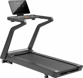 <?= Sundays Fitness T-352 ?>