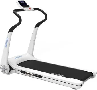 <?= Evo Fitness Cosmo 3 ?>