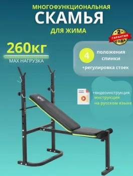 <?= DDS Campania B-2 (черный/зеленый) ?>