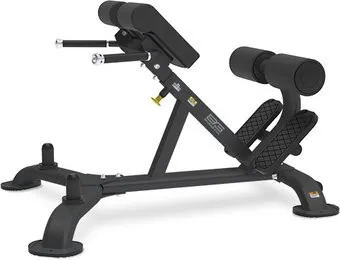 <?= Bronze Gym BR-1010 ?>