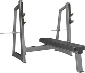 DHZ Fitness Evost Classic E3043