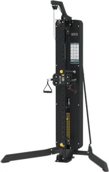 Bronze Gym BW-1005