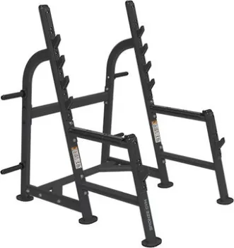 Bronze Gym BR-1015