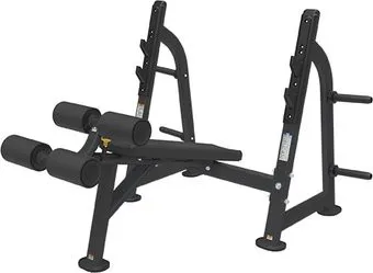 Bronze Gym BR-1013